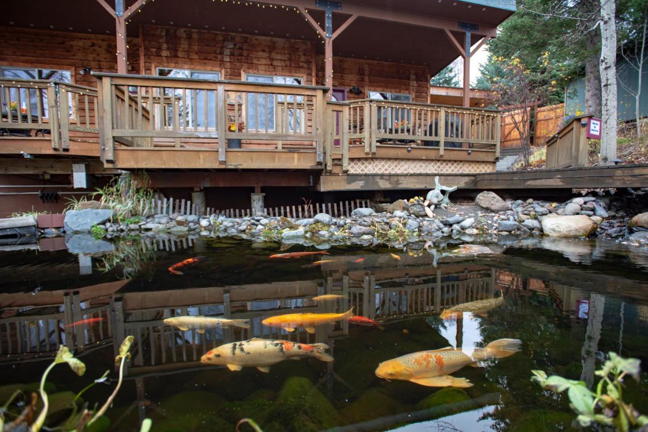 Bear Creek Winery And Lodging Bed & Breakfast Хоумър Екстериор снимка